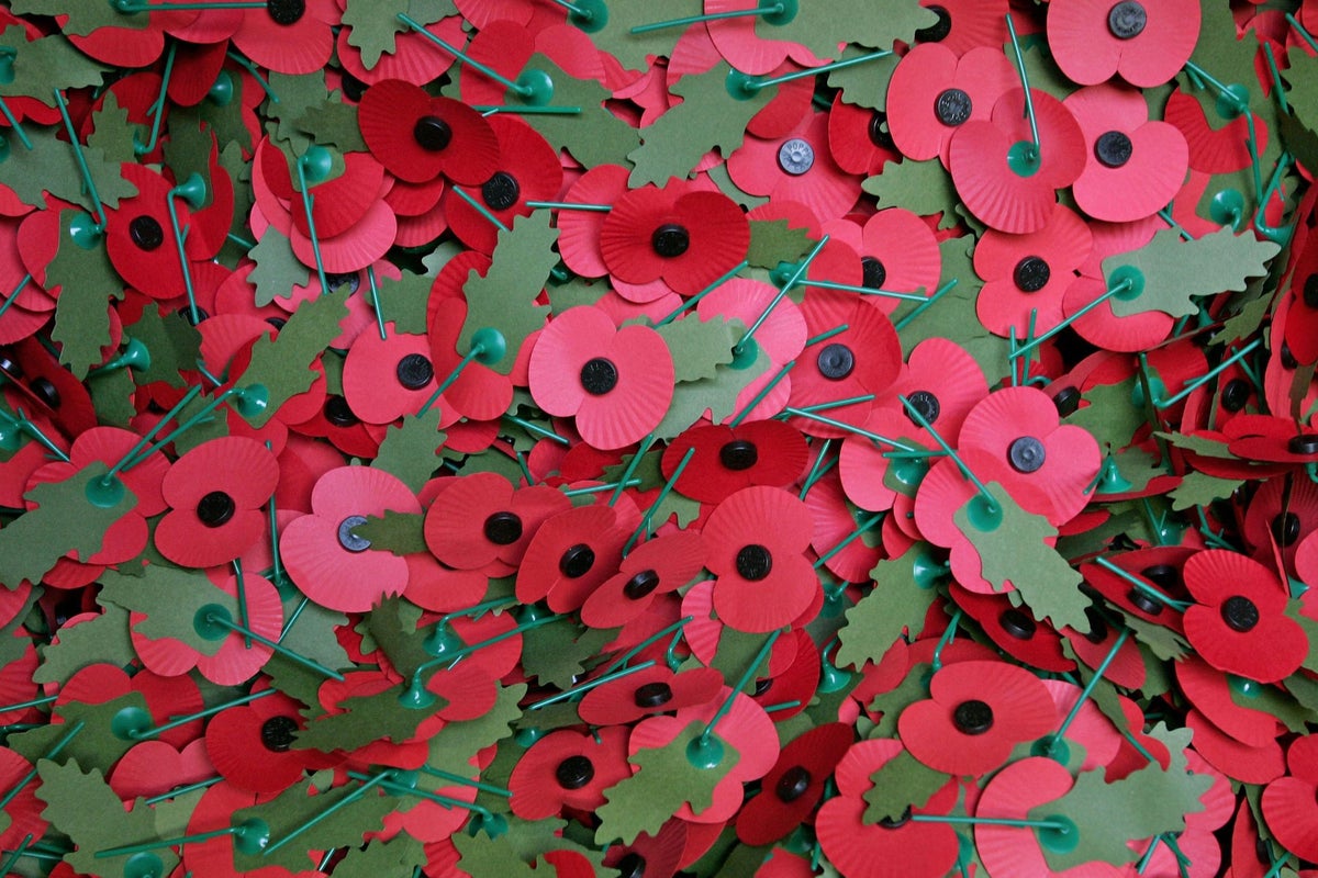 Veteran’s advice on how to wear Remembrance Day poppy is shared around ...