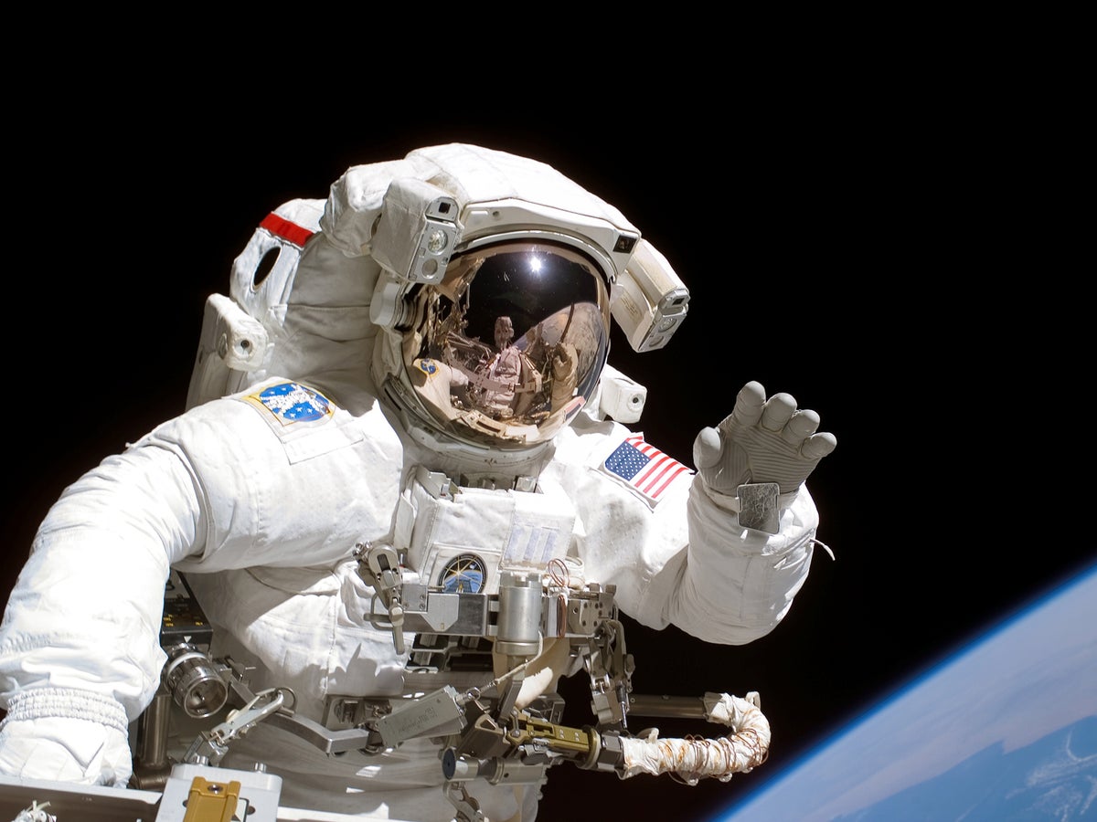 Do you have what it takes to be a Nasa astronaut? | The Independent | The  Independent