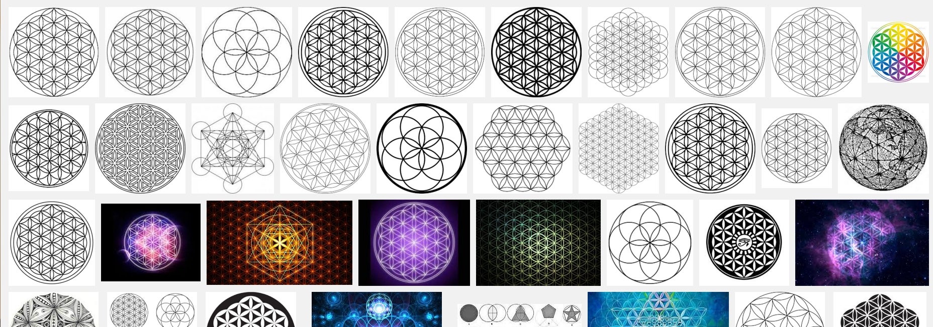 Neither image appears when you Google 'flower of life'