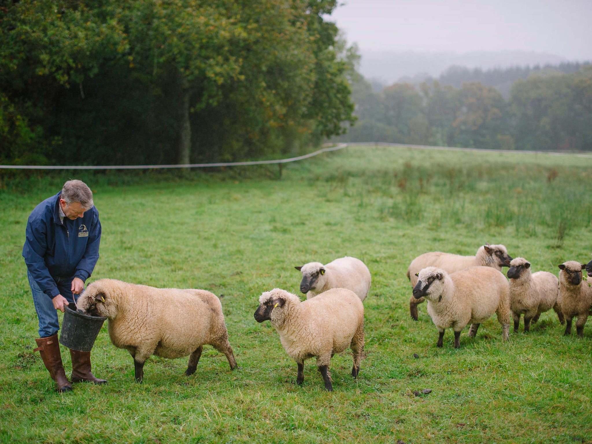 Nigel Tuck is planning to sell Golland Farm in north Devon, having returned to his career in banking