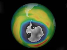 The ozone layer is healing, new study finds