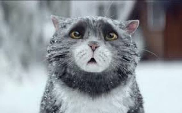 <p>Maybe I’m still put off by Mog’s last small screen Christmas outing, where she sauntered right out of the uncanny valley and into a cloying Sainsbury’s ad</p>