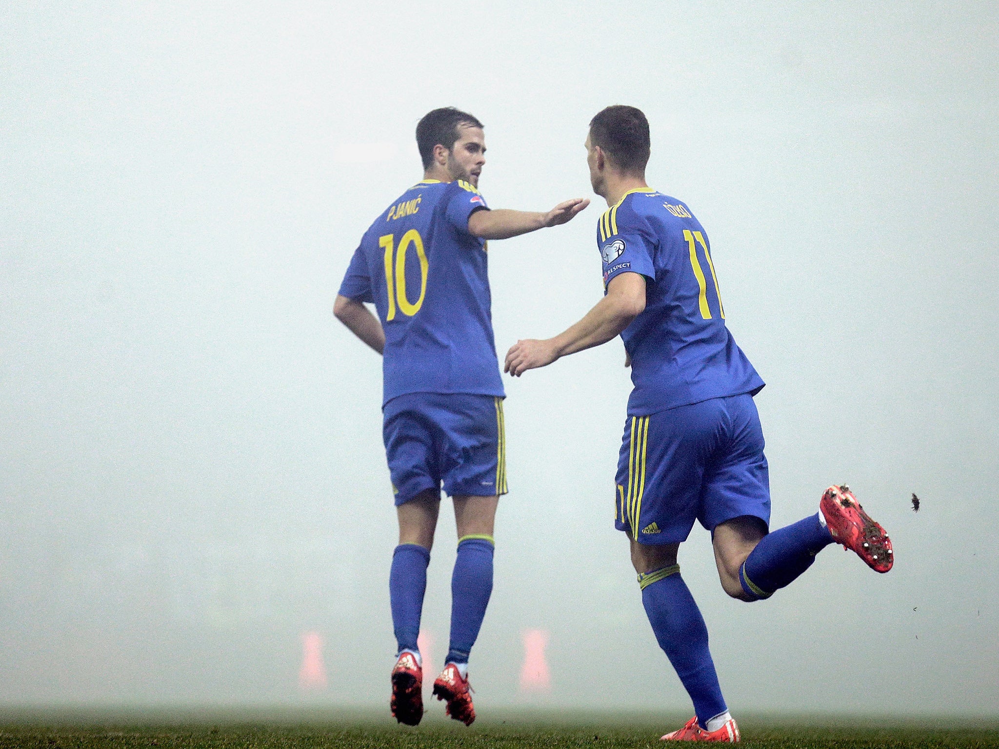 Edin Dzeko celebrates his goal