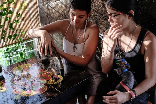 Jazmin Elizondo Arias, left, sits with her partner Laura Florez-Estrada Pimentel with their two recently adopted kittens, at a restaurant in San Jose, Costa Rica.
