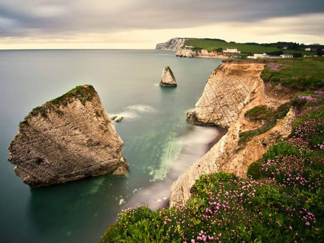 Cliff notes: Freshwater Bay
