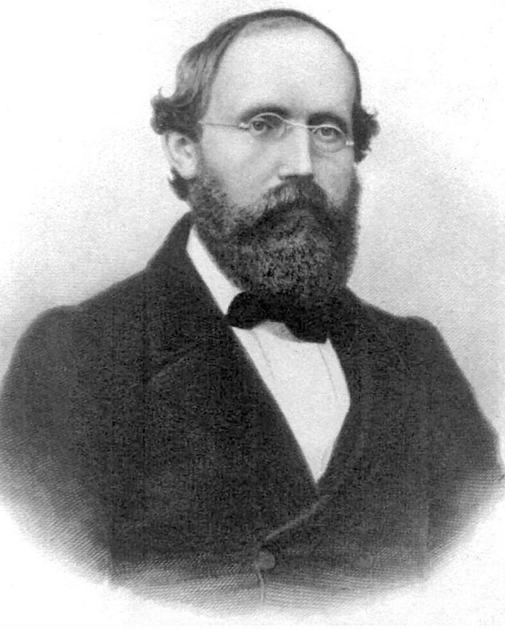 Dr Enoch may have solved the problem first proposed by Bernhard Riemann (pictured) 156 years ago