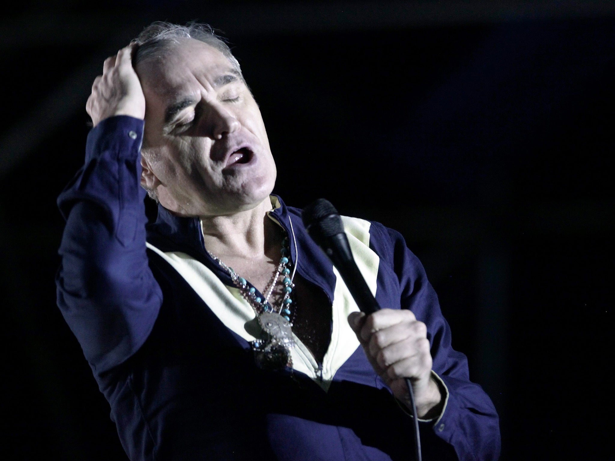 Morrissey performs on stage during the Primavera Fauna 2015 Music Festival in Santiago de Chile
