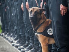 French police dog Diesel killed during terror raid was due to retire 