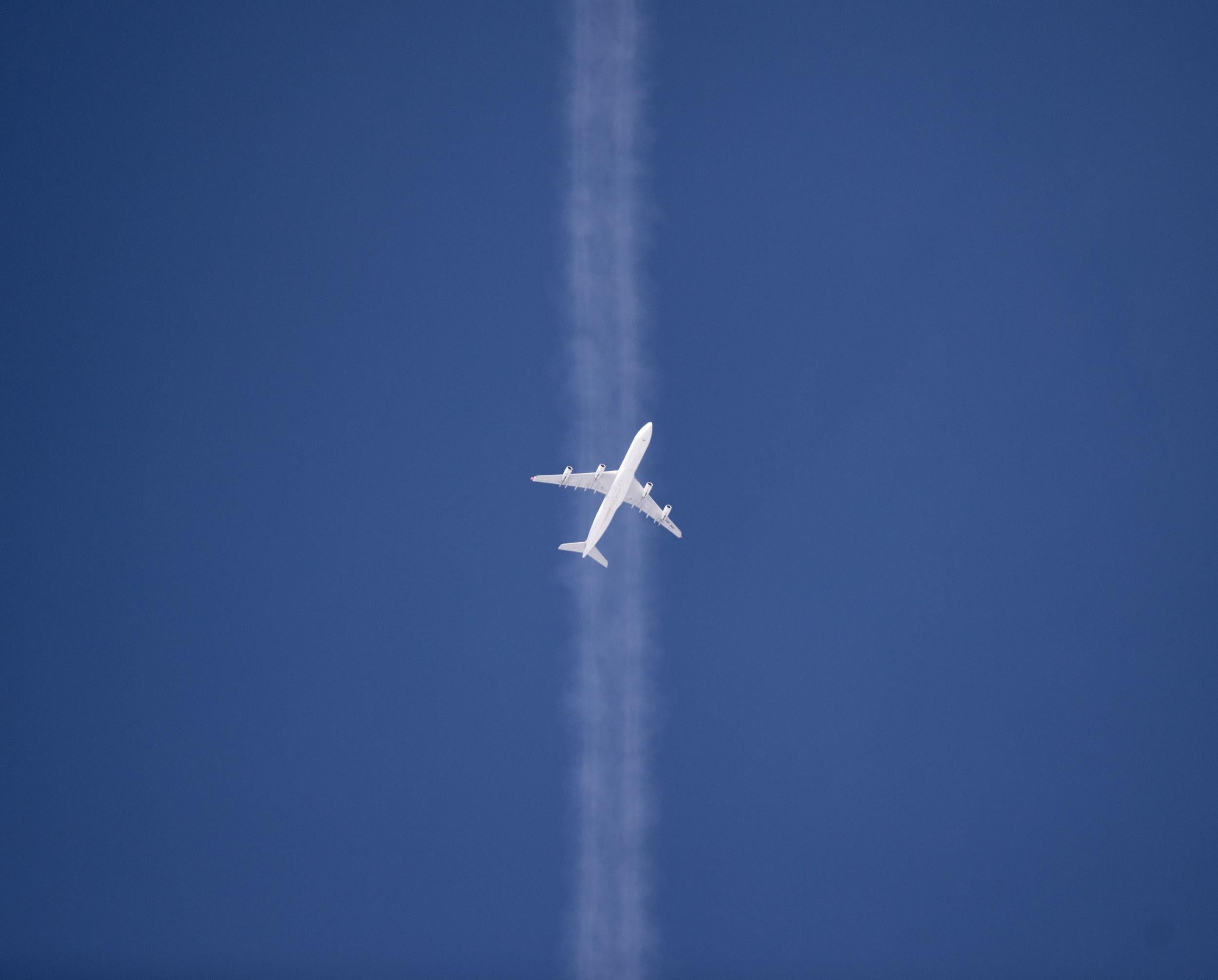 The plane was forced to divert to Burgas airport in Bulgaria after a passenger said there was a bomb on board