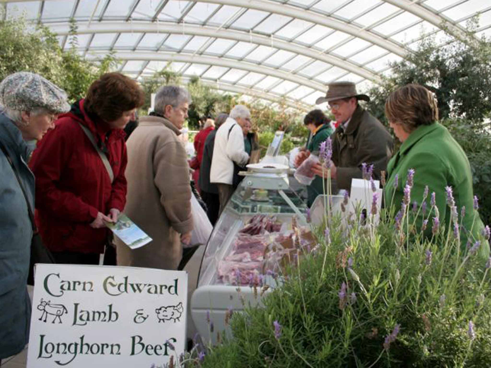 National Botanic Garden of Wales: Great Glasshouse