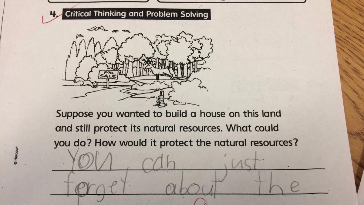 Pupil’s hilariously accurate critical thinking and problem solving test ...