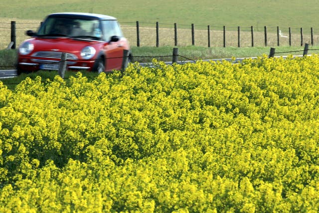 Norfolk council are looking to cut costs by considering a vote to cut roadside plants bi-annually