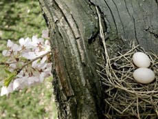 How to earn more money from your nest-egg savings