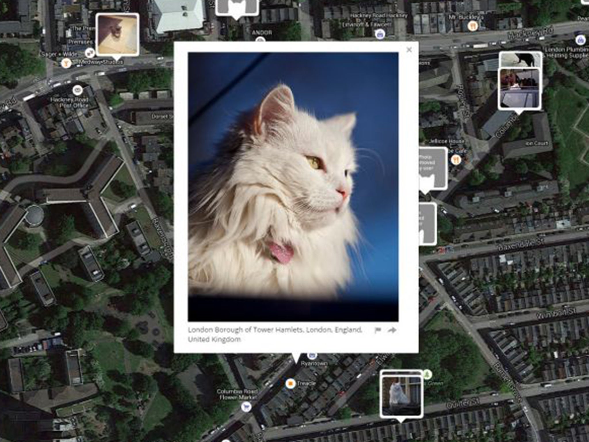 'I Know Where Your Cat Lives' maps pictures of cats posted on social media by their owners