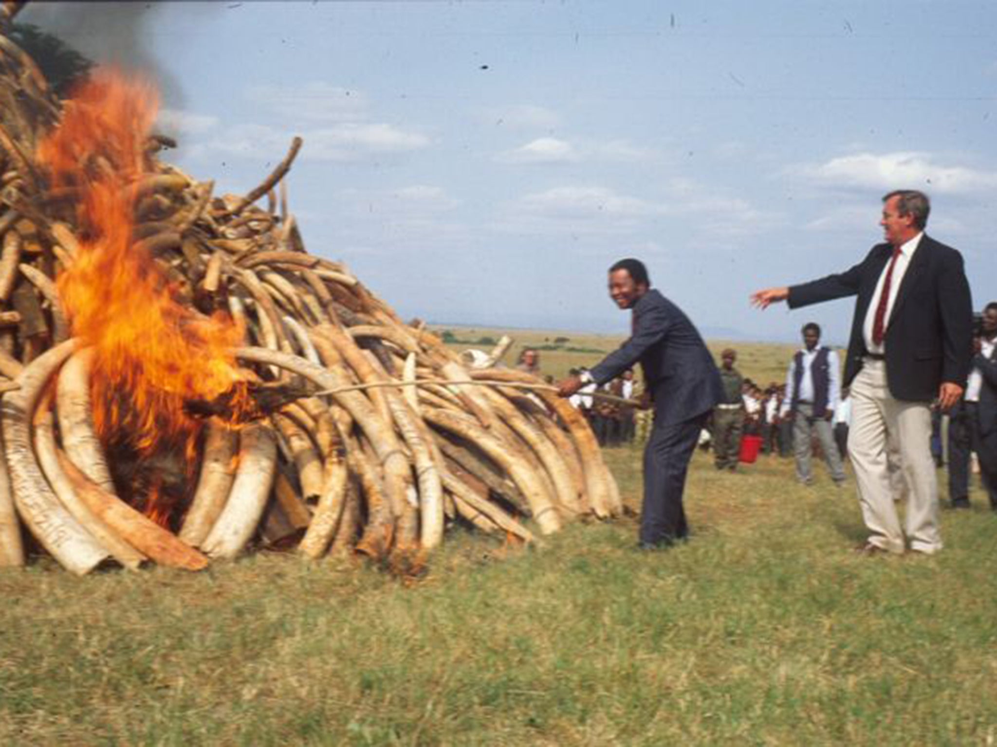 Richard Leakey witnessing the burning of ivory in Kenya. As many as 40,000 elephants are being killed across the continent of Africa every year