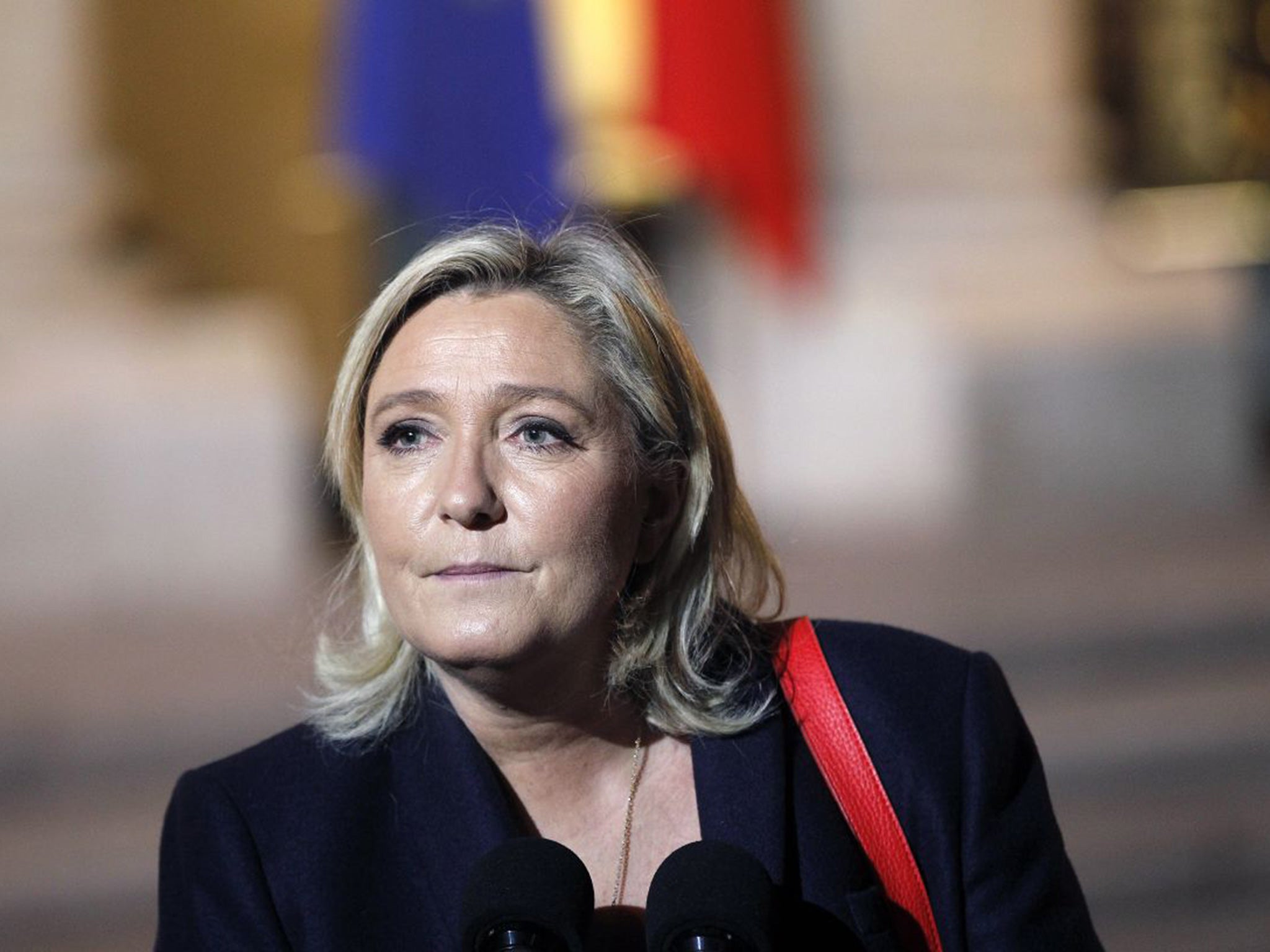 Marine Le Pen is leading the opinion polls with 30% of voting intentions in the first round of France's regional elections