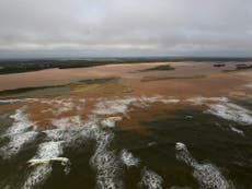 Read more

Deadly tide of mud bleeds into sea from Brazilian river