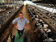 Read more

The 'mega-dairies' that divide a struggling agricultural sector