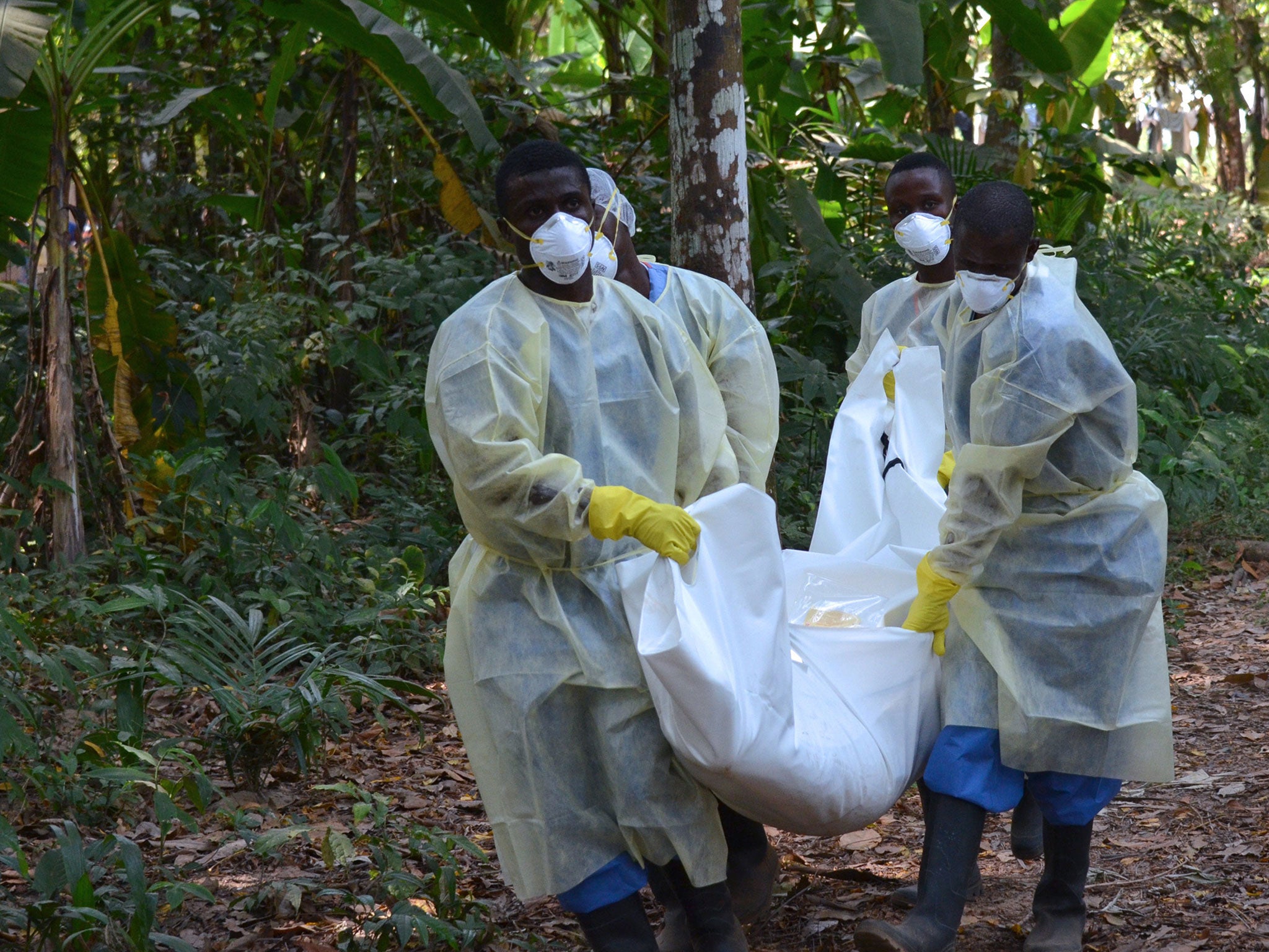 Red Cross workers with the body of an Ebola victim in the Liberian capital, Monrovia