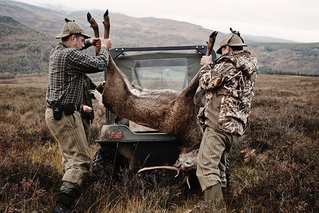 Two hunters load a stag onto their jeep (Photo: Dave Imms)