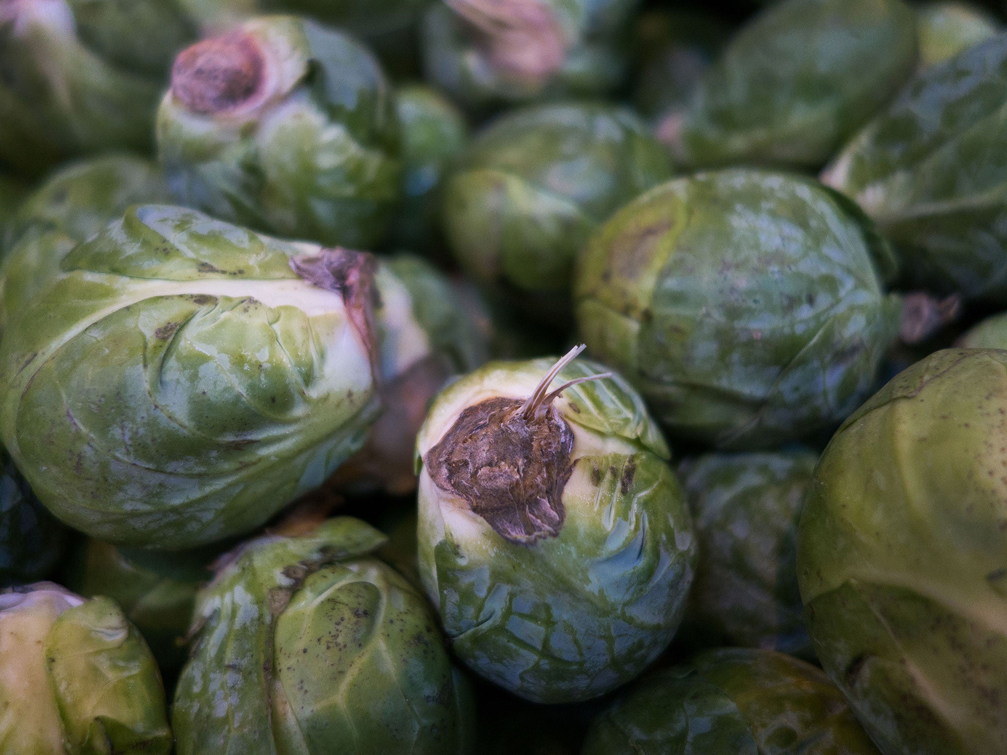 Brussels sprouts have grown an extra 20 per cent this year