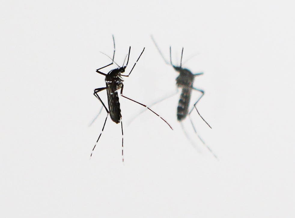 Malaria kills up to a million people each year