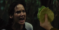 Someone replaced Peeta with pita bread in The Hunger Games