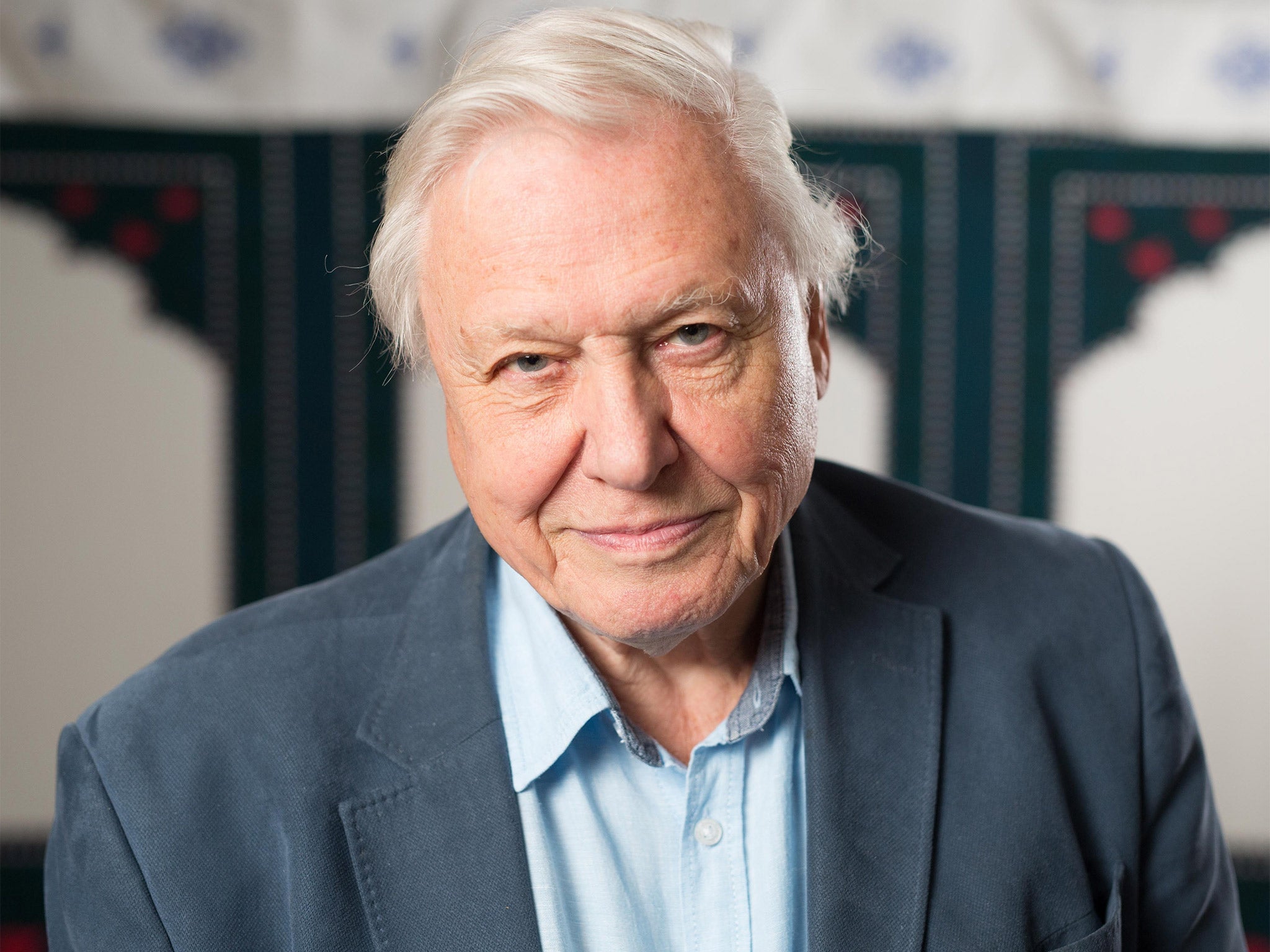 Image result for david attenborough