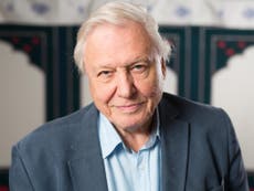 Attenborough ‘not confident’ that Paris talks will bring a solution
