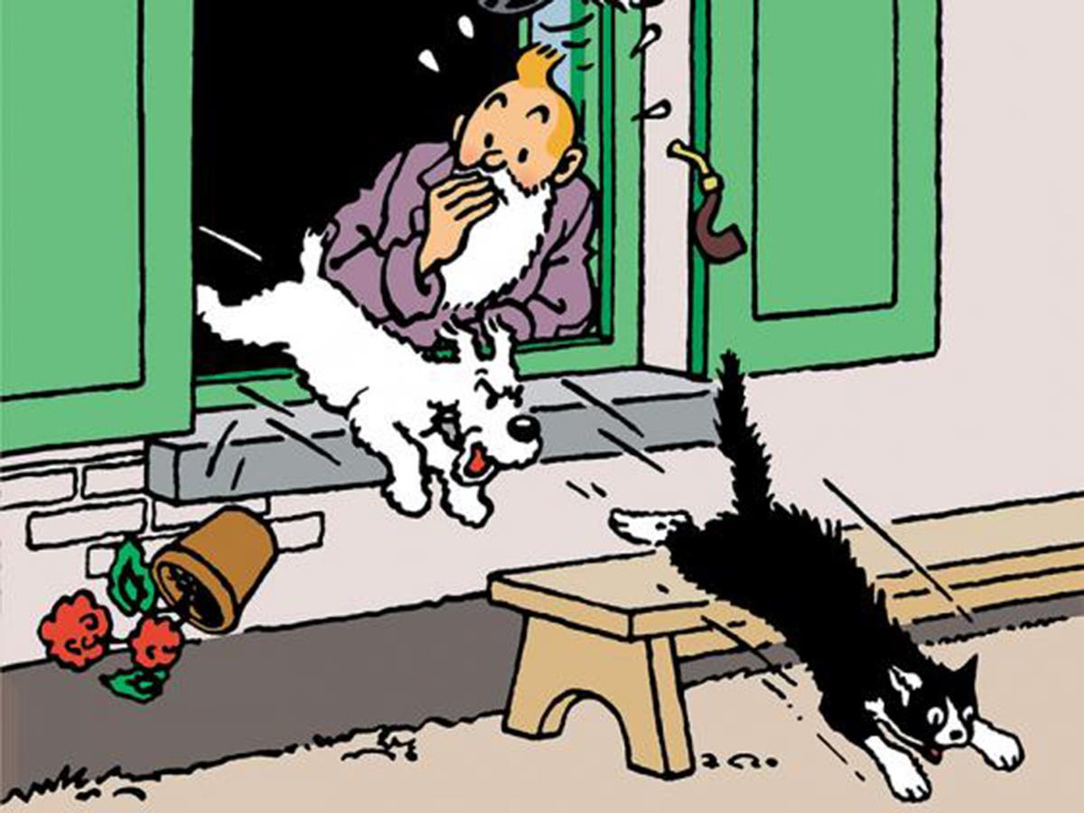 Tintin is a girl and 'probably asexual', French philosopher claims, The  Independent
