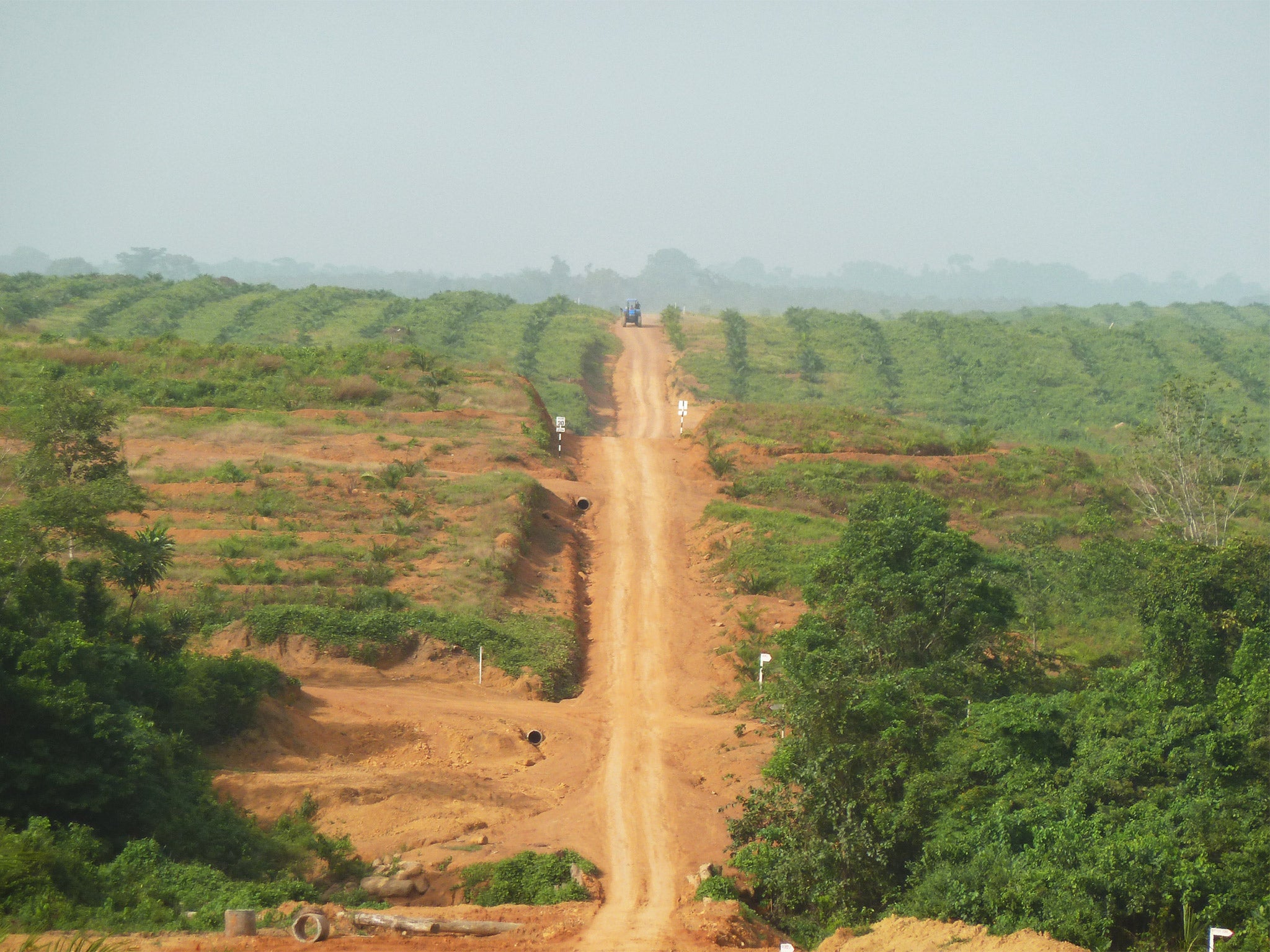 Parts of the Sime Darby plantation in Liberia have disappeared to make way for a palm-oil production (Getty)