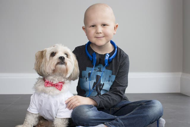 Rowan, a leukaemia outpatient at GOSH, with his grandmother’s dog, Woody