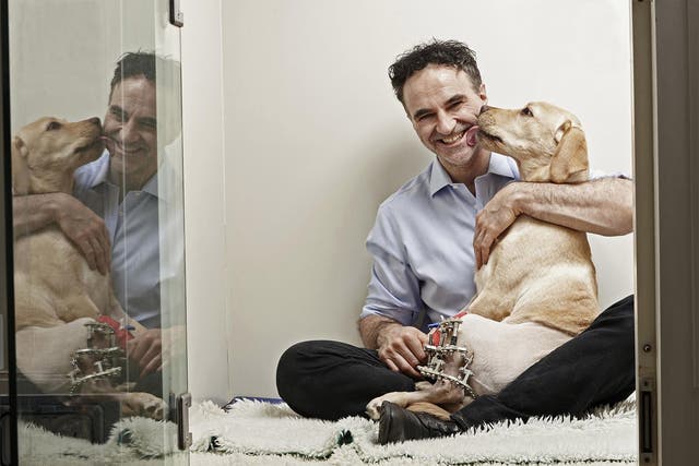 Safe hands: Noel Fitzpatrick had a remarkable way with damaged animals