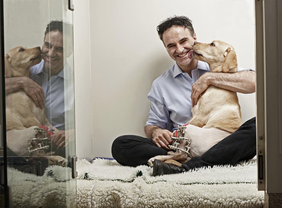 Safe hands: Noel Fitzpatrick had a remarkable way with damaged animals