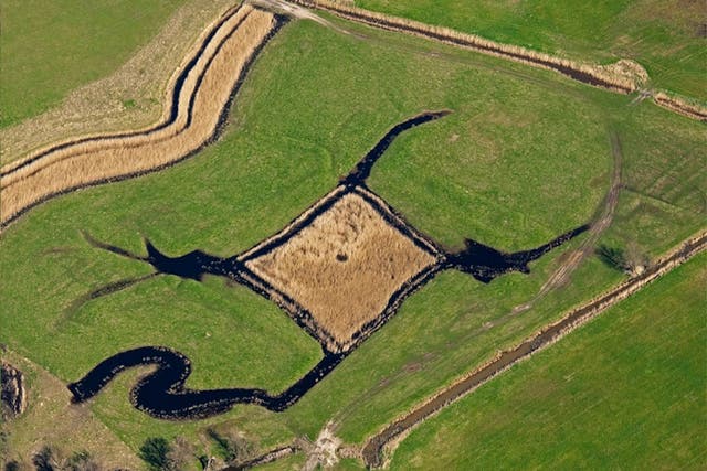 The well-preserved and partly-waterfilled remains of a 17th century duck decoy pond on Halstow Marshes. Duck decoy ponds consisted of a central pond with a number of curving and gradually narrowing channels leading away from the main body of water.