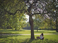 Head in the clouds? Why daydreaming is good for you