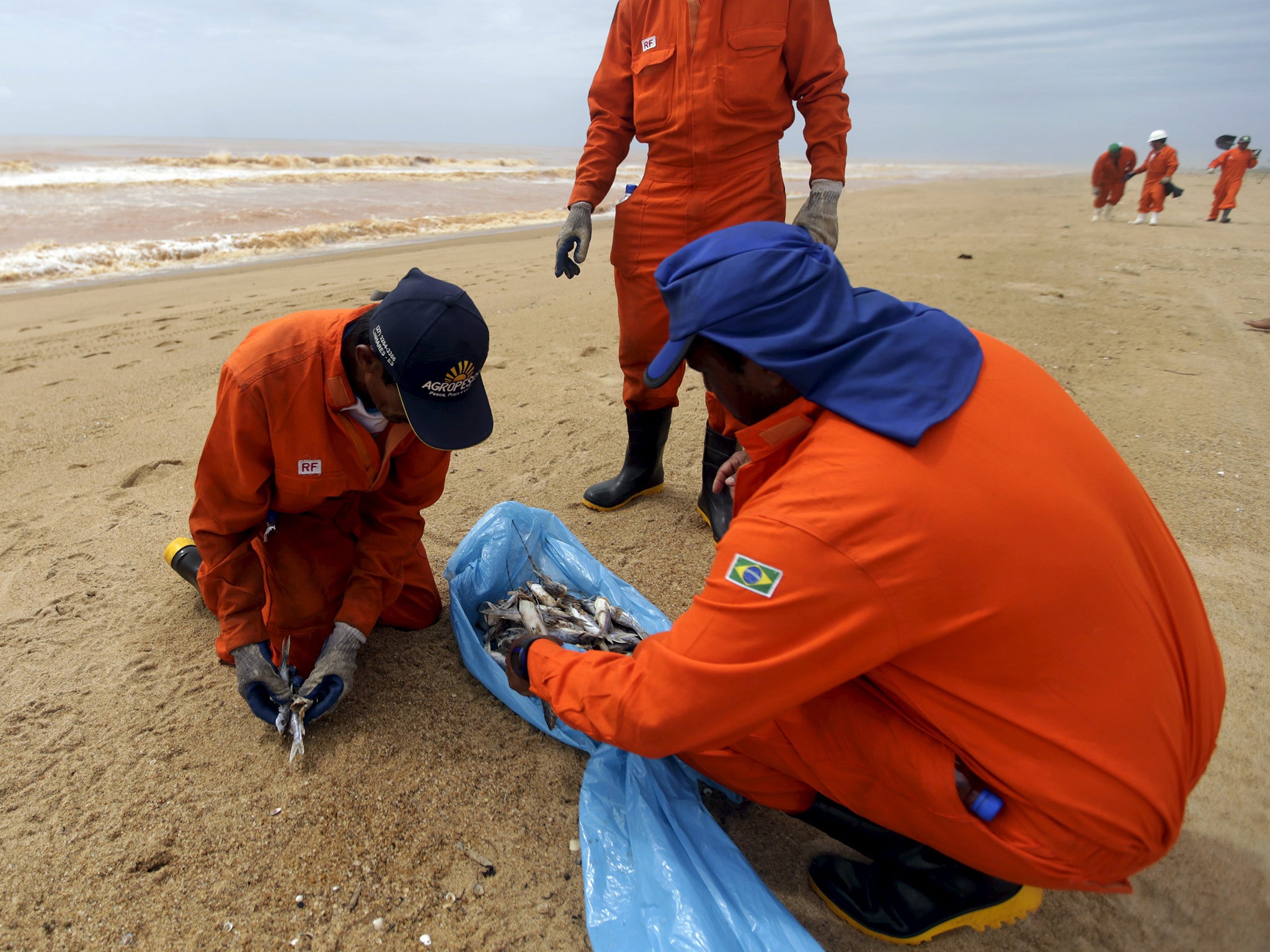 The mud has killed thousands of fish as it flows through the Rio Doce