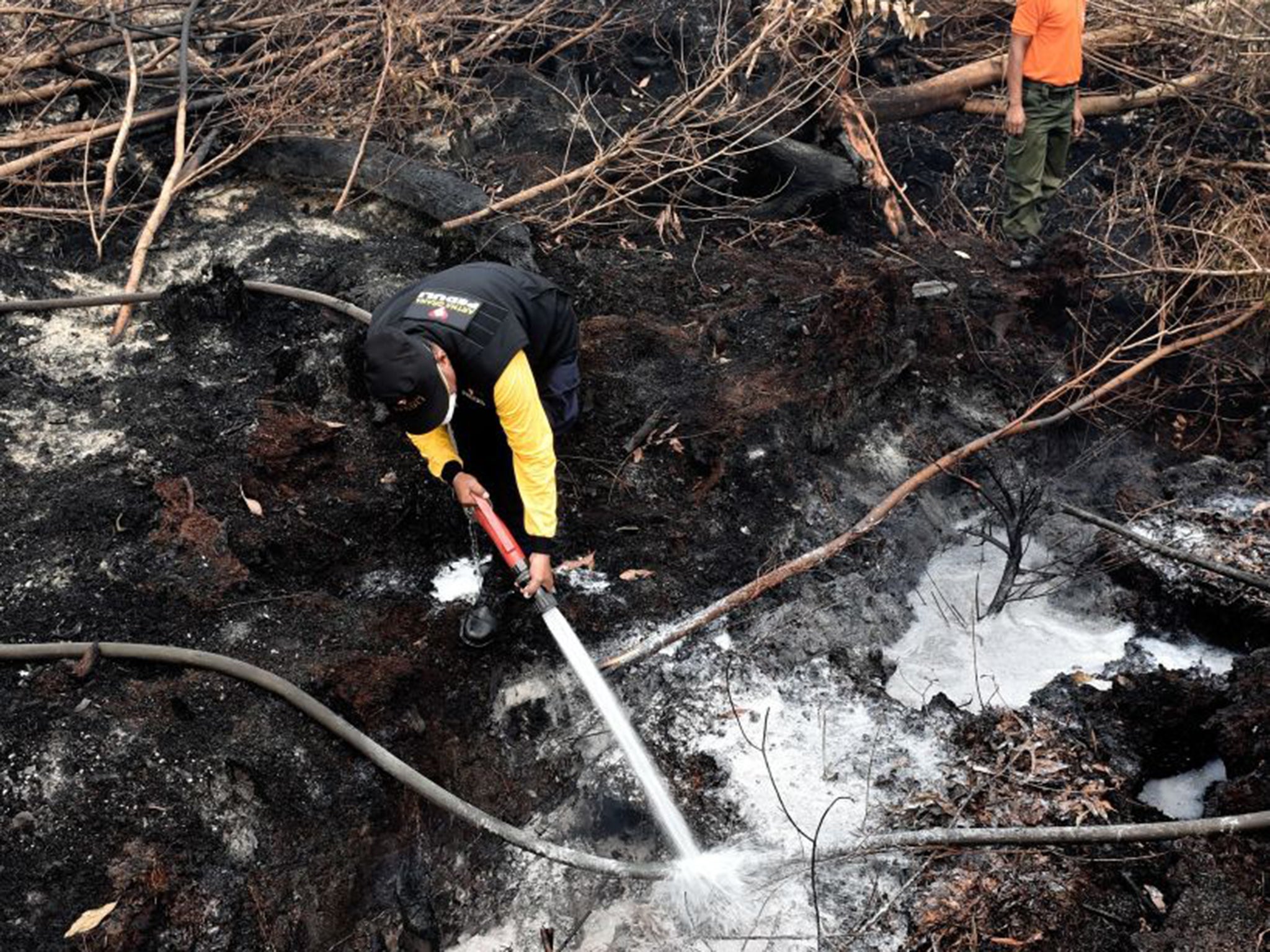 Forest life and death: fire fighters and local civilians struggle to put out fires in forest and peatlands in Central Kalimantan, Indonesia, last month