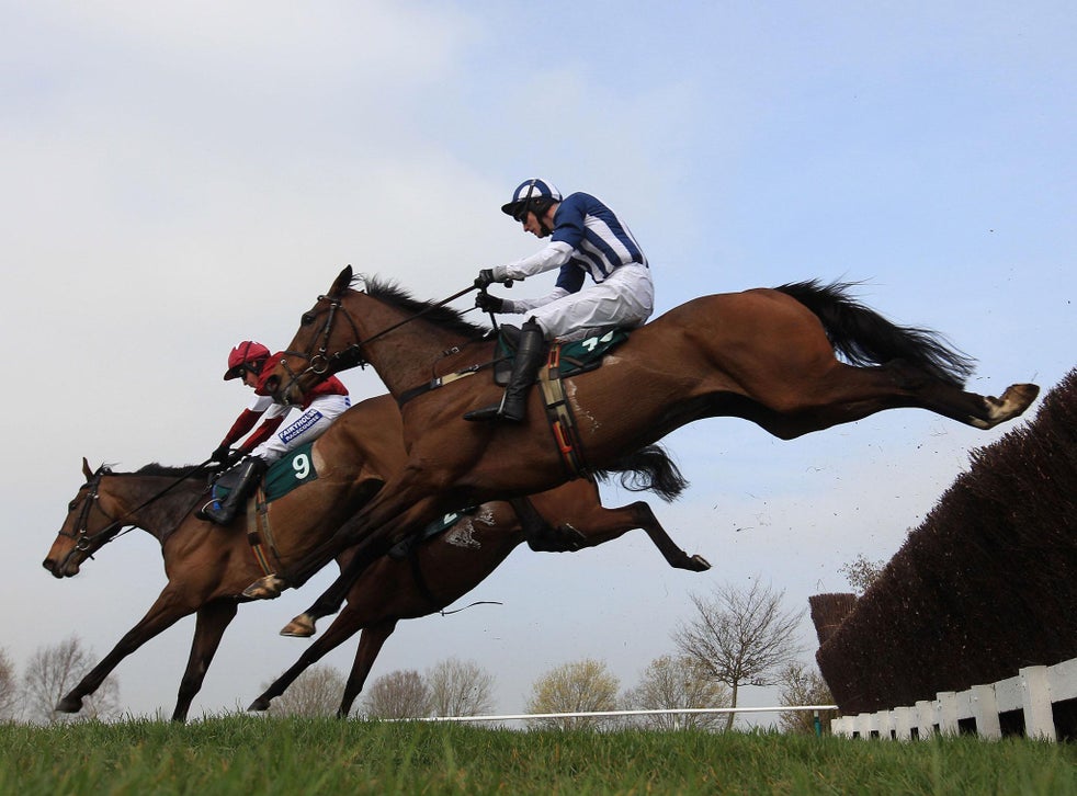 After all the nuisance calls, I could own 0.04 per cent of a racehorse