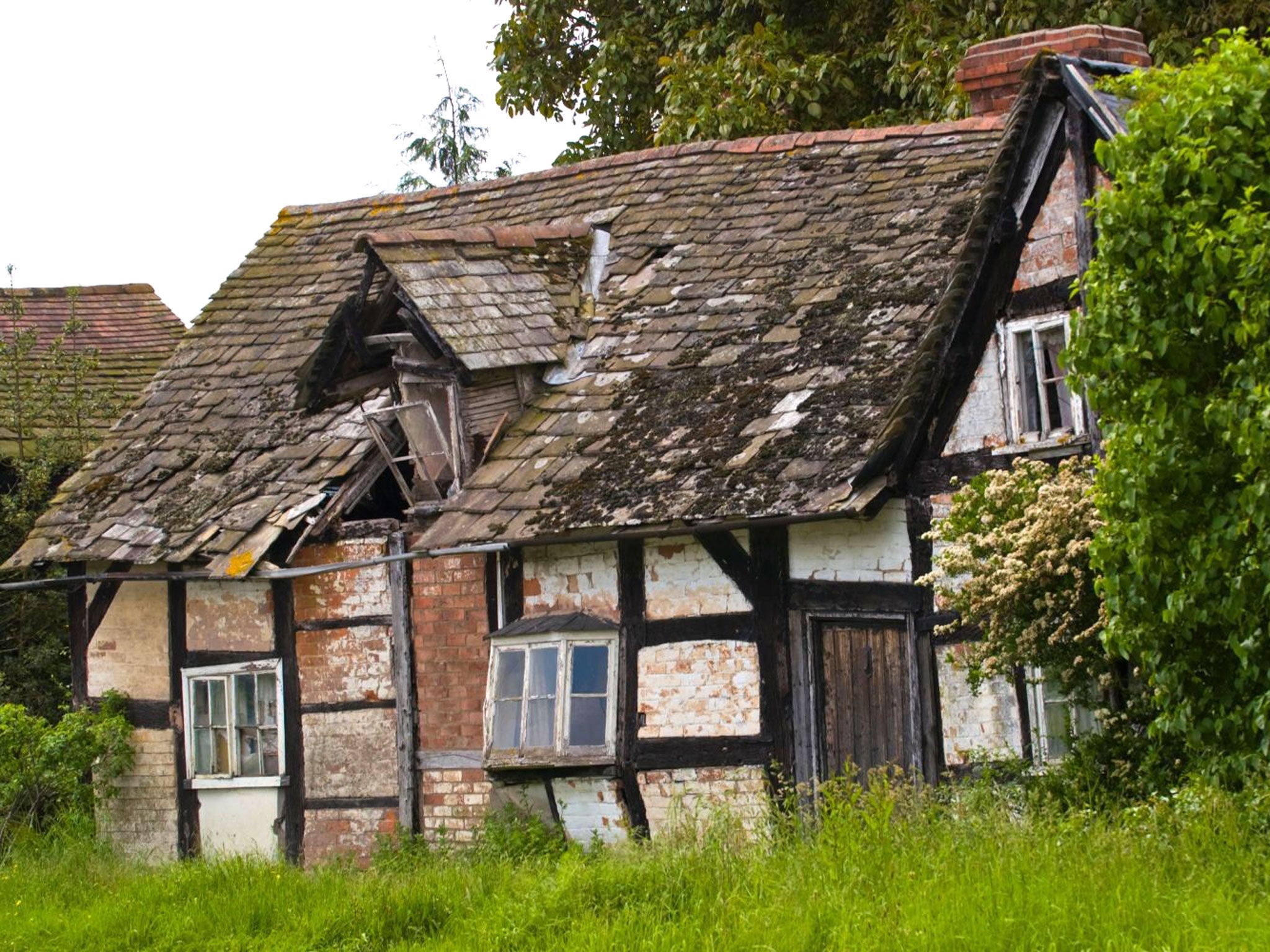 What a waste: spot a derelict property near London and you could earn £20