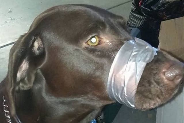 The Facebook post showed the dog with tape wrapped around its mouth