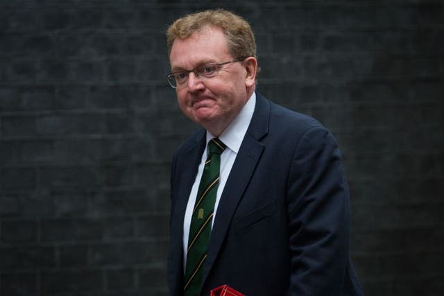 David Mundell, Scotland Secretary, arrives at Downing Street for the government's weekly cabinet meeting on November 17, 2015