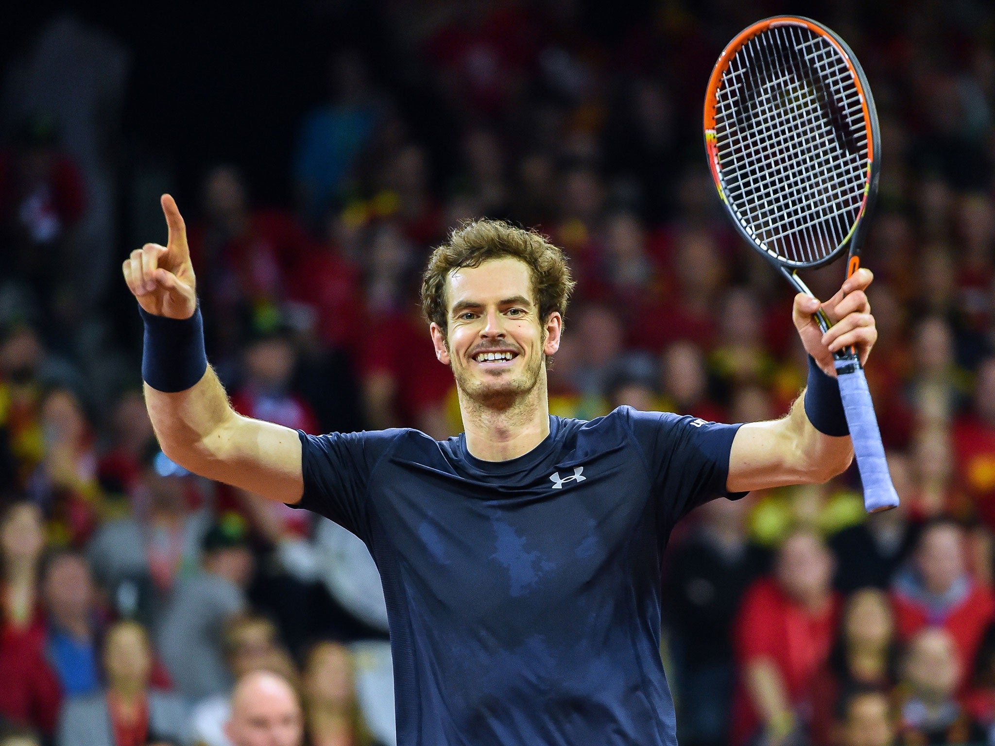 Andy Murray has taken Britain to the brink of the Davis Cup almost single-handedly