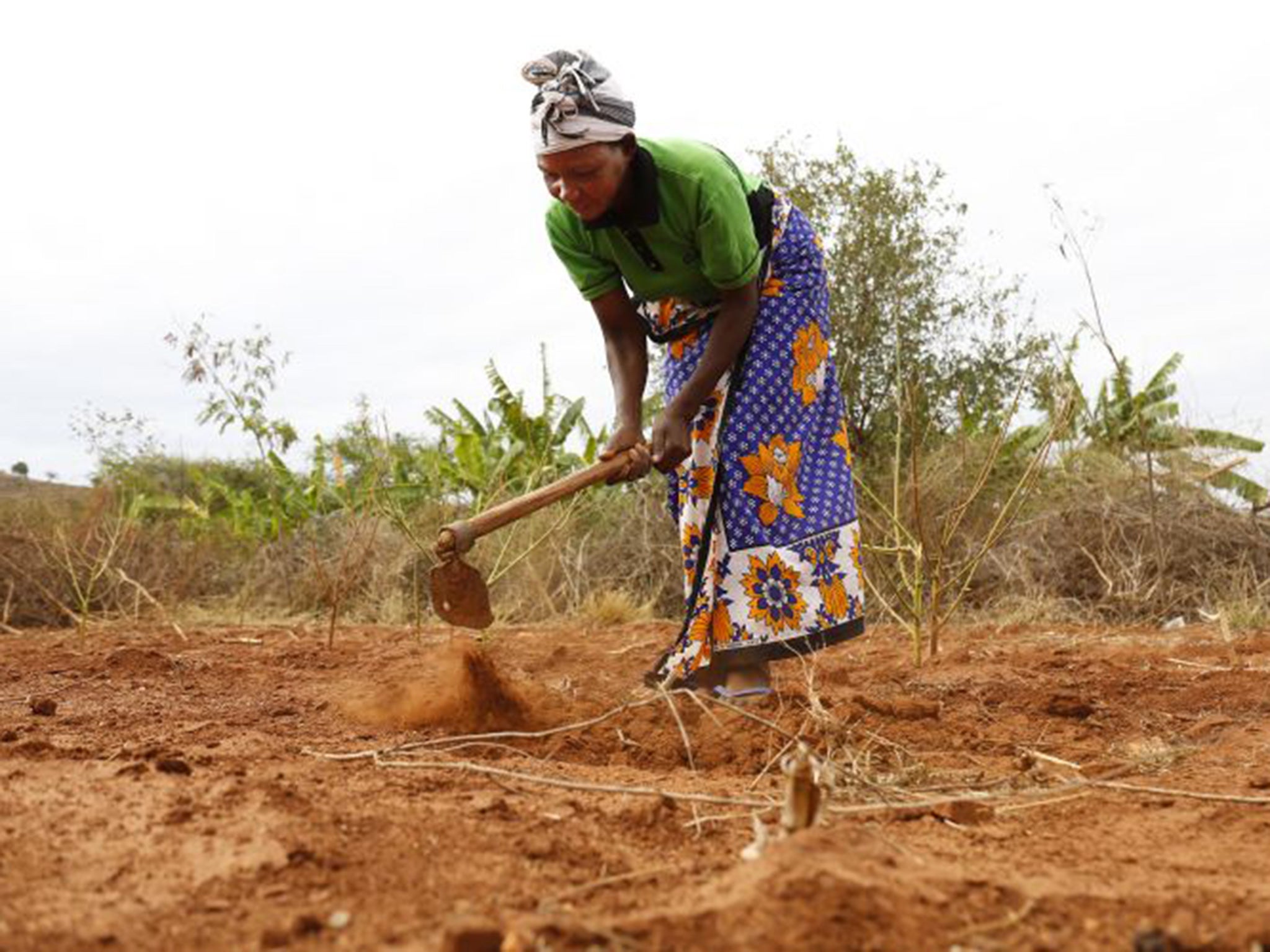 Tabitha tills the land at her farm in Musosya village, Kitui.