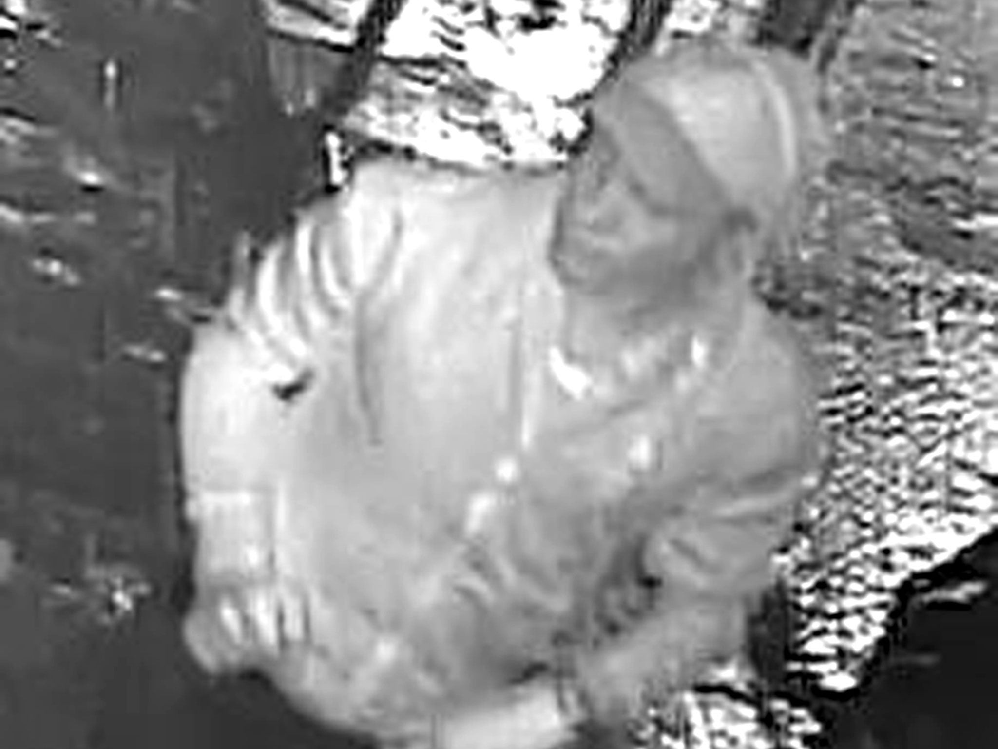 Police released this image of a man suspected of an arson attack on a London mosque