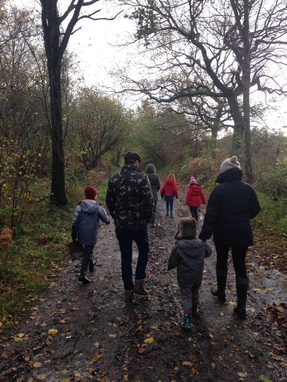 An autumn walk in Bradfield Woods is hard to beat - Jeremy Vercoe