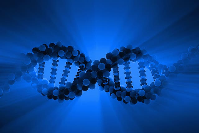 The scientists say gene editing for enhancement should not be allowed ‘at this time’