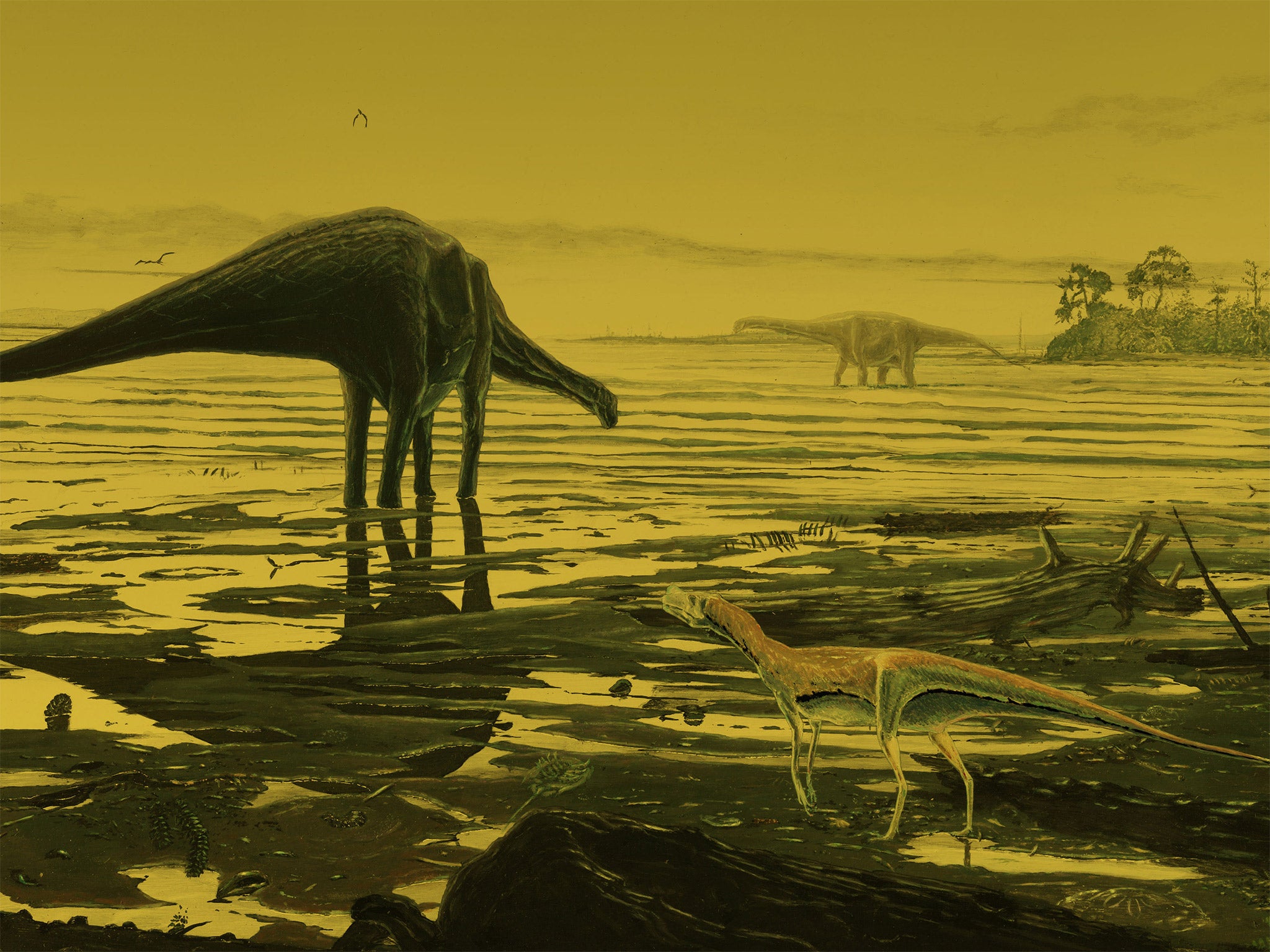 An artist's impression of Sauropod dinosaurs on the Isle of Skye