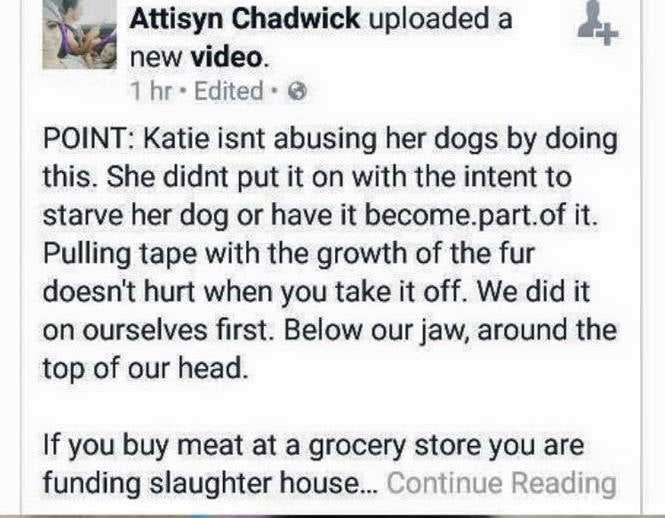 Attisyn Chadwick posted a video on Facebook taping her own dog's mouth shut and defending the actions of Ms Lemansky