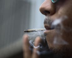 Smoking cannabis every day can distort brain activity, research suggests
